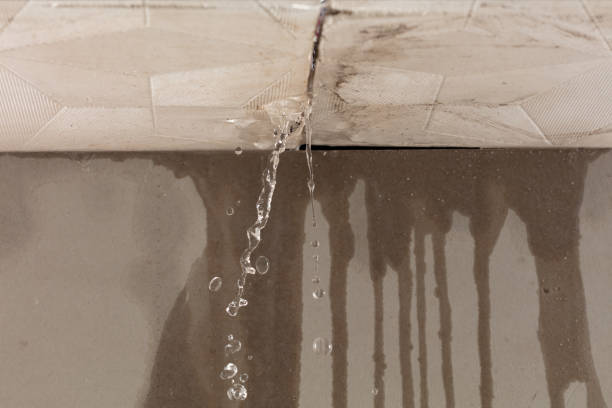 Professional Burst Pipe Cleanup technician working in Kurtistown, HI